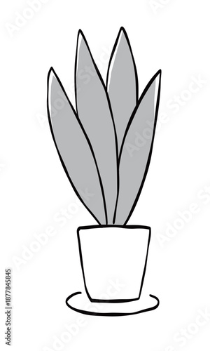 観葉植物のシンプルな手書き風のイラスト
