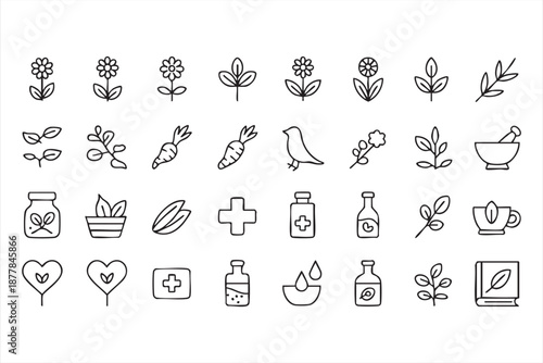 Plant Based Remedy Icons for Supplement Stores, Ecommerce Dashboards