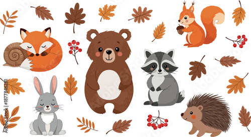 Set of cute woodland animal characters and autumn leaves, flat vector illustration featuring bear fox squirrel raccoon rabbit and hedgehog isolated on white