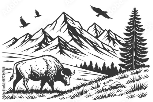 Detailed engraving style, bull grazing in mountain meadow, majestic snow-capped peaks, pine forest silhouette, soaring birds, intricate line work, black and white illustration, vintage woodcut aest