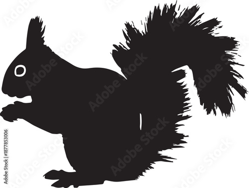 Black squirrel eating a nut on a white background