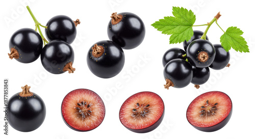 Fresh blackcurrants and halved berries with green leaves on a transparent background showing glossy whole fruits and detailed interior cross-sections