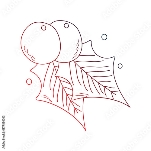 Mistletoe  doodle icon with white background vector stock illustration