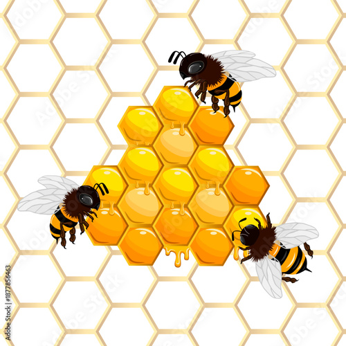 Caring bees store nectar in honeycombs.Colored vector illustration with bees on honeycombs.