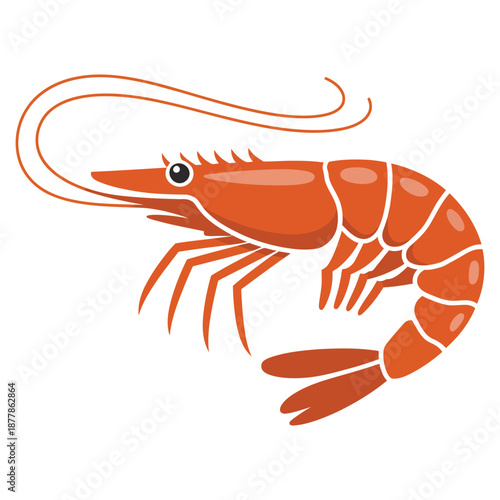 shrimp on a white background