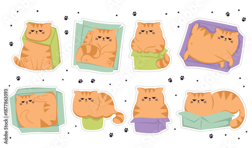 The collection of stickers with cute funny grumpy ginger cat in the paper box.
Cats sitting, sleeping and playing in cardboard box. Cute cartoon character in different poses with box.