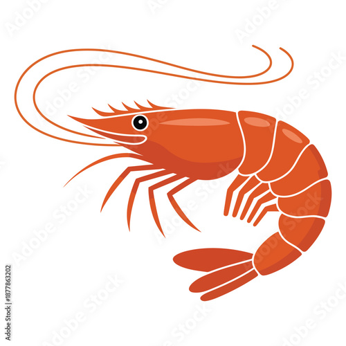 shrimp vector illustration