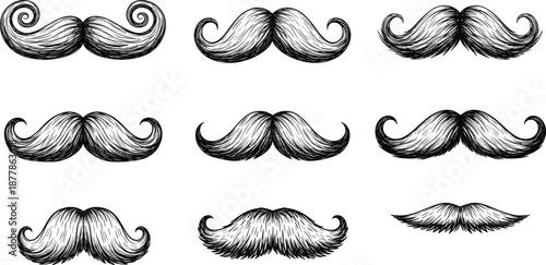 Vintage Mustache Illustration Vector Set with Hand Drawn Beard Styles and Retro Facial Hair Elements for Barbershop Logos, Labels, and Branding Designs