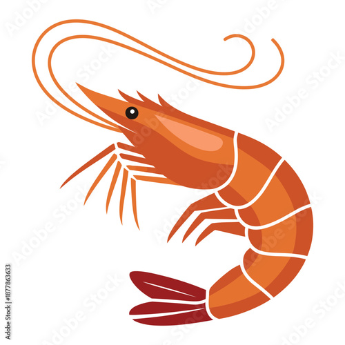 shrimp on a white background