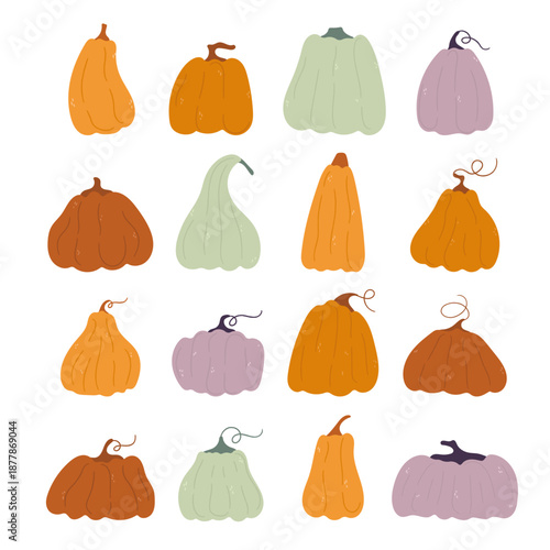 Pumpkins vegetable cartoon icons with leaves and flowers. Pumpkin of various shapes and colors isolated vector for autumn fall, agricultural harvest, Thanksgiving or Halloween designs