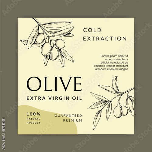 Olive oil label design. Natural plant product emblem with hand drawn branch with leaves and berries, botanical sketch element. Luxury fresh organic food. Vector packaging creative template