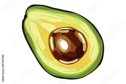 Hand Drawn Avocado Fruit Botanical Illustration