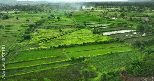 Green plantations with mountain view on tropical island