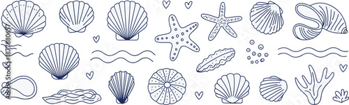 Hand drawn marine illustration set with seashells starfish seaweed coral ocean elements doodle style vector design line art blue minimal