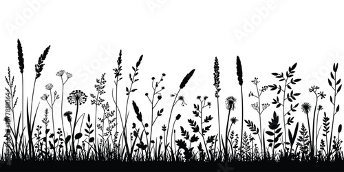 Elegant botanical silhouette illustration of wild field plants weeds grass and flowers black and white design elements for nature themed background organic pattern eco banner environmental conservatio