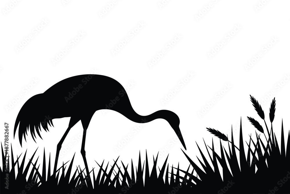 Obraz premium Elegant black silhouette of a crane bird foraging in grassy marshland wildlife nature scene minimalistic design for environmental conservation awareness graphic design projects and nature documentary