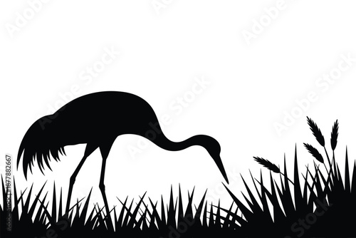 Elegant black silhouette of a crane bird foraging in grassy marshland wildlife nature scene minimalistic design for environmental conservation awareness graphic design projects and nature documentary