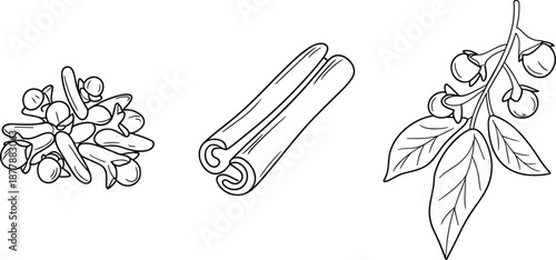 Spices and Herbs Line Illustration Set Featuring Cloves, Cinnamon Sticks and Bay Leaves, Natural Cooking Ingredients for Culinary and Botanical Design Vector