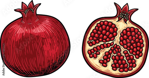 Pomegranate fruit illustration, whole and sliced view, red juicy seeds, healthy organic food, detailed vector artwork, isolated on gray background