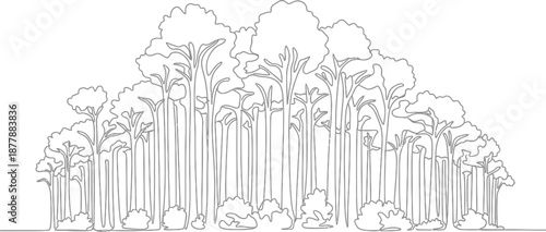 Continuous line drawing illustrating a dense forest canopy of tall trees and low undergrowth rendered with elegant black outline simplicity for nature artwork and coloring pages