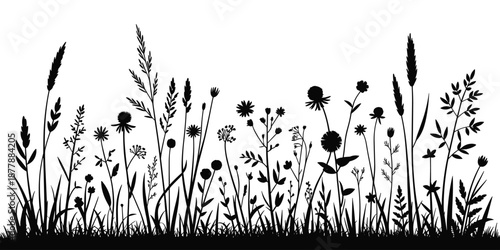Wildflower meadow silhouette with grass and various flower silhouettes in black and white landscape background vector illustration for nature themed designs botanical art print graphic resource wallpa