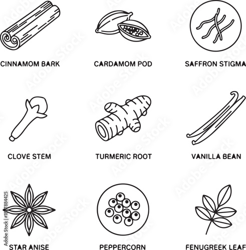 Exotic spice plant line icons cinnamon bark, cardamom pod, saffron stigma, clove stem, turmeric root, vanilla bean, star anise, peppercorn, fenugreek leaf.