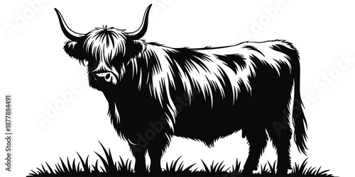 Majestic highland cow silhouette standing in grassy field vector illustration Scottish cattle breed with long horns black and white graphic design element for farm animal themed projects vintage retro