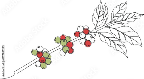 Adobe Illustrator Artwork