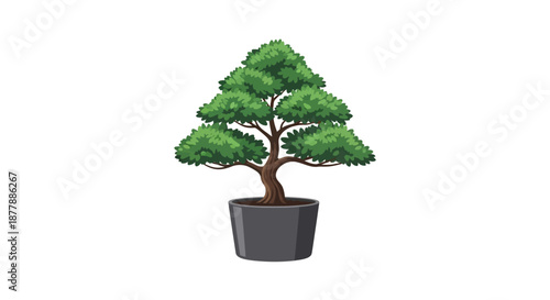 Traditional Japanese bonsai tree in a ceramic pot
