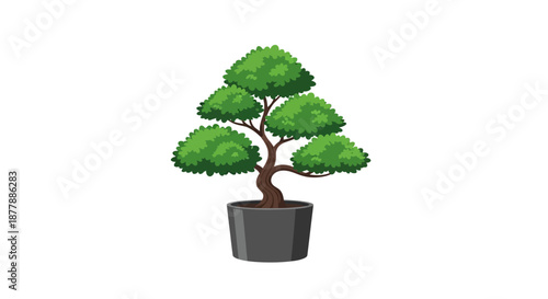 Artistic evergreen bonsai plant symbolizing patience and peace