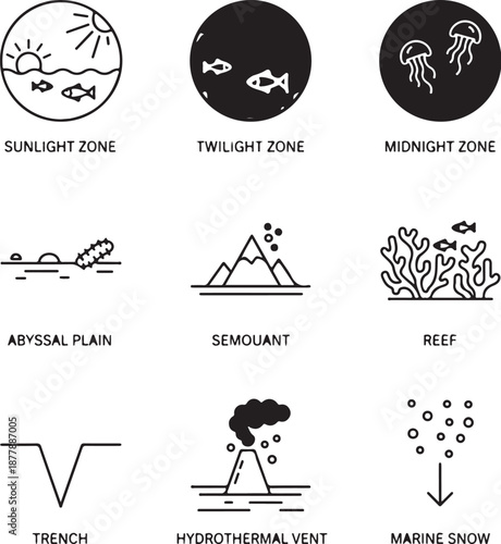 Ocean depth zone line icons sunlight zone, twilight zone, midnight zone, abyssal plain, seamount, reef, trench, hydrothermal vent, marine snow
