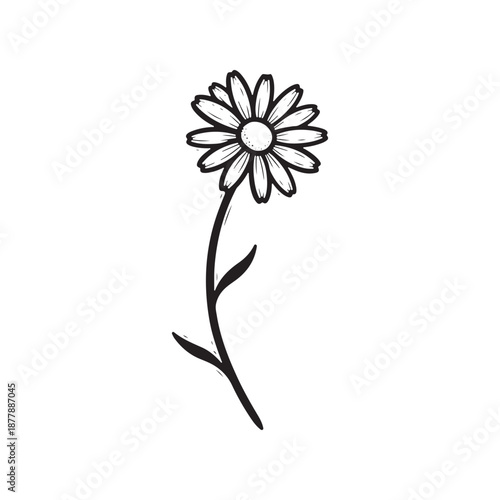 A simple black text label reading 