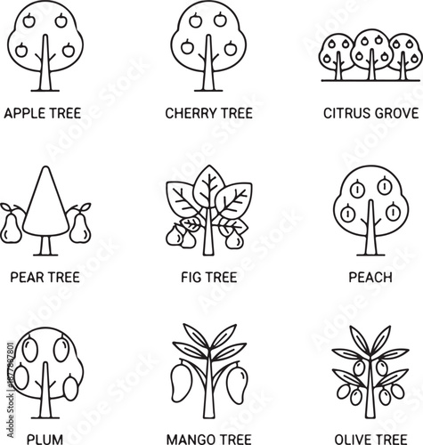 Fruit tree line icons apple tree, cherry tree, citrus grove, pear tree, fig tree, peach tree, plum tree, mango tree, olive tree