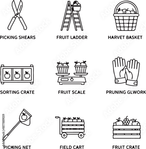 Fruit harvest tools line icons picking shears, fruit ladder, harvest basket, sorting crate, fruit scale, pruning gloves, picking net, field cart