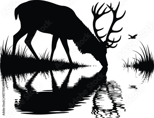 Striking deer silhouette drinking water reflecting on surface in serene wildlife scene with flying bird minimalist black and white vector illustration for nature conservation environmental awareness e