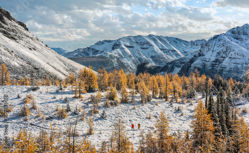 Larch Valley in Autumn after snow fall - Canadian Rockies