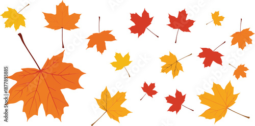 Autumn maple leaf illustration set with colorful fall foliage shapes in seasonal flat vector style
