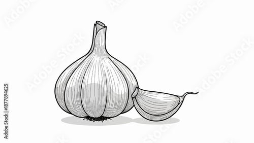 Black and white drawing of a whole garlic bulb and a single clove on a white background