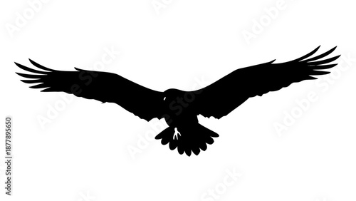 Detailed silhouette of an eagle with wings spread wide in flight, hunting pose, soaring bird vector illustration.