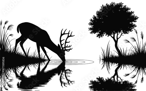 Silhouette of majestic stag drinking water at tranquil lake reflection with lush tree wildlife animal vector illustration for nature conservation environmental protection outdoor adventure tourism and