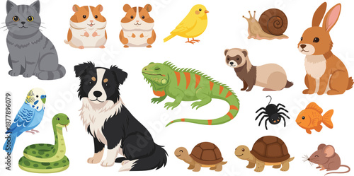 Cute animal character collection with pets reptiles birds and small wildlife in colorful flat vector illustration