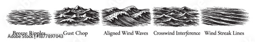 This image displays different types of waves depicted as black and white drawings, showcasing various patterns and forms in nature.