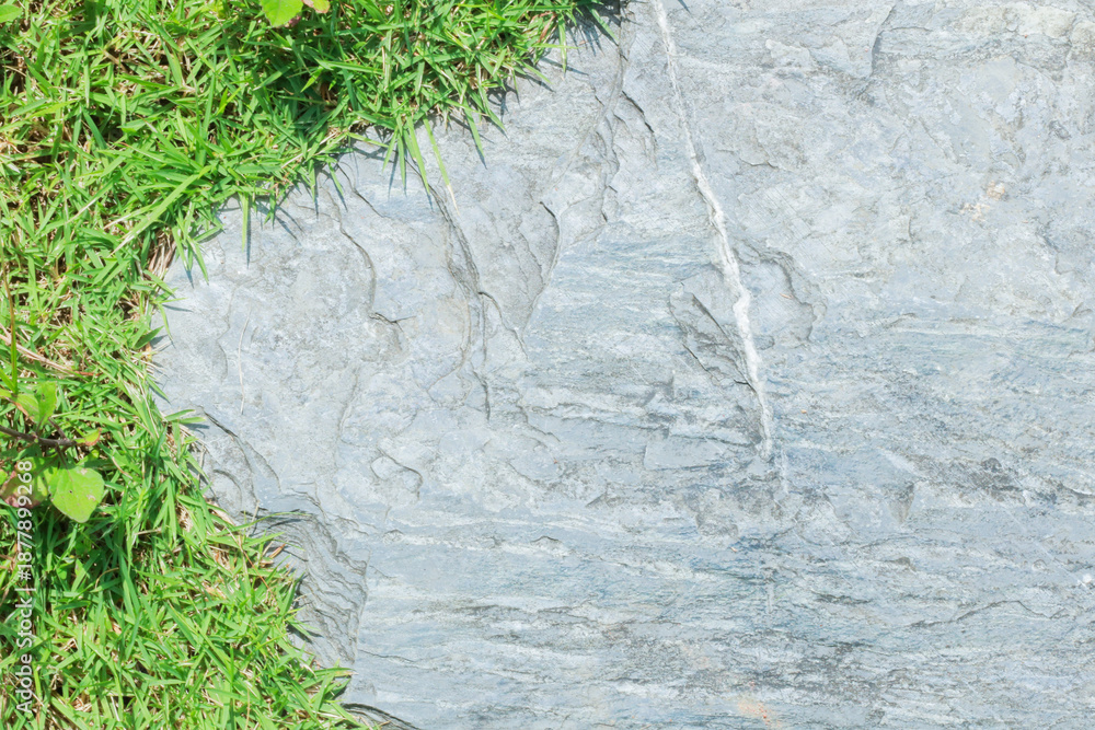 Naklejka premium Close-up view of granite laid on grass lawn, creating a natural