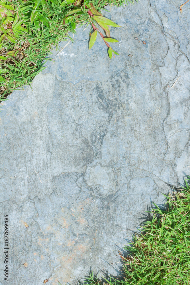 Naklejka premium Close-up view of granite laid on grass lawn, creating a natural