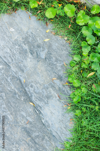 Close-up view of granite laid on grass lawn, creating a natural