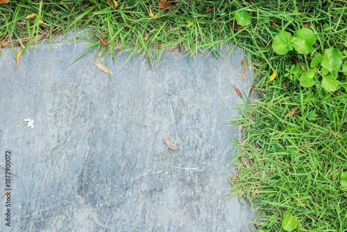 Close-up view of granite laid on grass lawn, creating a natural