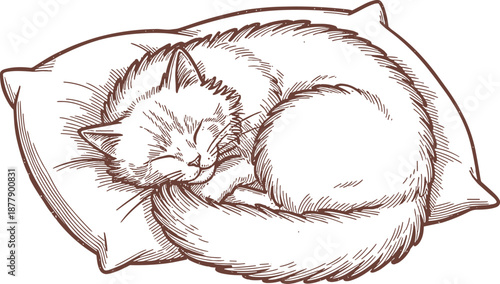 Line Art Illustration of a Sleeping Cat Isolated on White Background