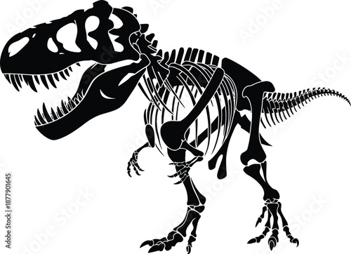 Detailed Tyrannosaurus Rex Skeleton Fossil Illustration on White Background Paleontology Concept Prehistoric Era Dinosaur Anatomy Scientific Study in Archaeological Museum Graphic Resource for Educati