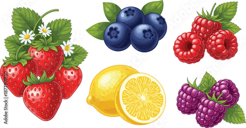 Fresh berry and citrus fruit illustration set with strawberry blueberry raspberry blackberry and lemon in detailed flat vector style