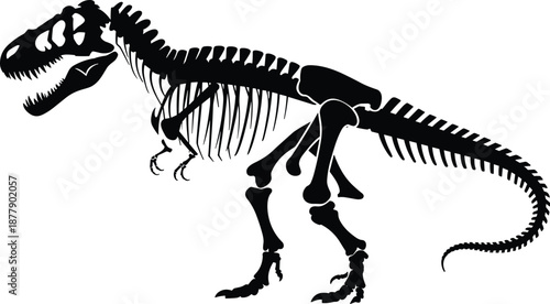 Tyrannosaurus Rex skeleton fossil illustration in black and white on clean background ancient extinct dinosaur anatomy concept for paleontology scientific research educational resources museum exhibit